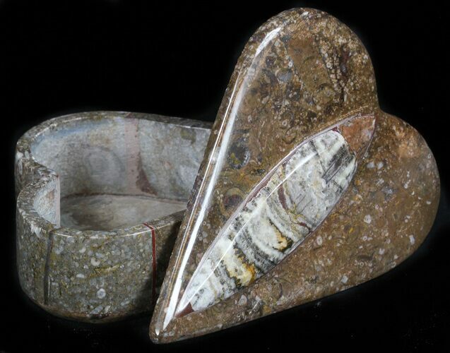 Heart-Shaped Fossil Orthoceras Box - Stoneware #35281
